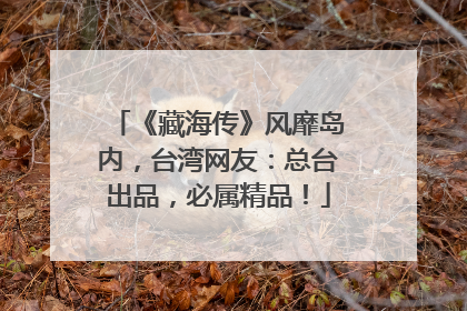 《藏海传》风靡岛内，台湾网友：总台出品，必属精品！