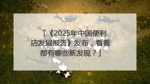 《2025年中国便利店发展报告》发布，看看都有哪些新发现？