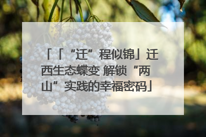 「“迁”程似锦」迁西生态蝶变 解锁“两山”实践的幸福密码