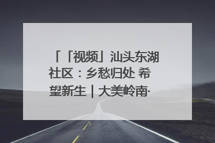 「视频」汕头东湖社区：乡愁归处 希望新生｜大美岭南·百村焕新记