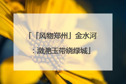 「风物郑州」金水河：潋滟玉带绕绿城