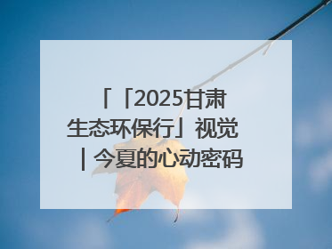 「2025甘肃生态环保行」视觉｜今夏的心动密码，藏在冰沟河的潋滟波光里