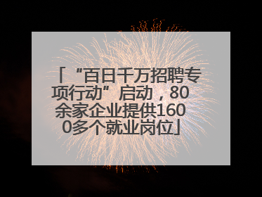 “百日千万招聘专项行动”启动，80余家企业提供1600多个就业岗位