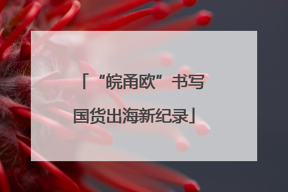 “皖甬欧”书写国货出海新纪录