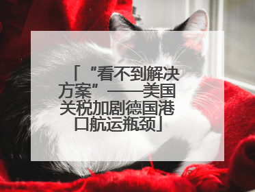 “看不到解决方案”——美国关税加剧德国港口航运瓶颈
