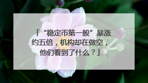 “稳定币第一股”暴涨约五倍，机构却在做空，他们看到了什么？
