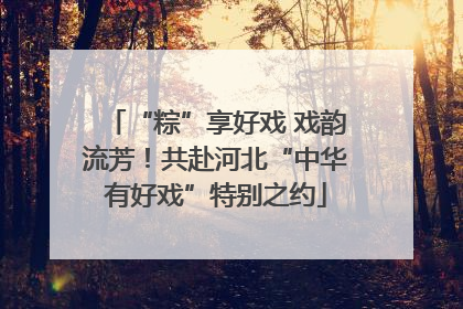“粽”享好戏 戏韵流芳！共赴河北“中华有好戏”特别之约