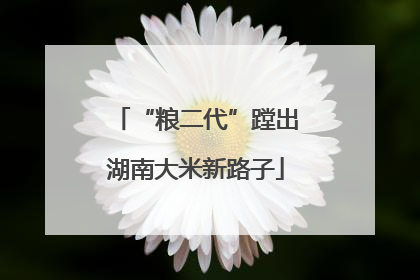 “粮二代”蹚出湖南大米新路子
