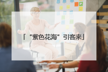 “紫色花海”引客来