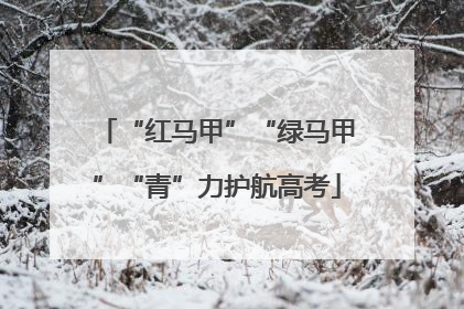 “红马甲”“绿马甲”“青”力护航高考