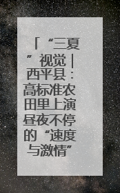 “三夏”视觉｜西平县：高标准农田里上演昼夜不停的“速度与激情”