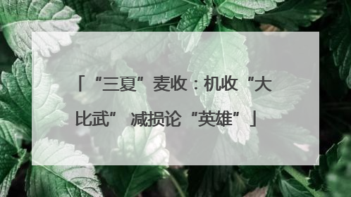 “三夏”麦收：机收“大比武” 减损论“英雄”