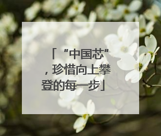 “中国芯”，珍惜向上攀登的每一步