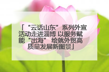 “云话山东”系列外宣活动走进淄博 以服务赋能“出海” 绘就外贸高质量发展新图景