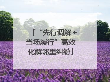 “先行调解＋当场履行”高效化解邻里纠纷