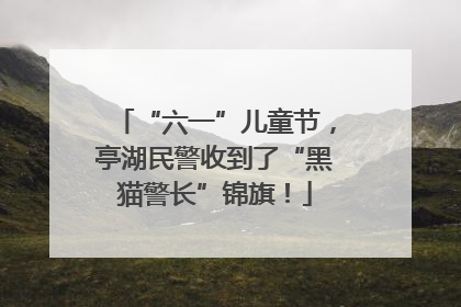 “六一”儿童节，亭湖民警收到了“黑猫警长”锦旗！