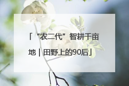 “农二代”智耕千亩地｜田野上的90后