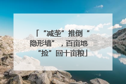 “减垄”推倒“隐形墙”，百亩地“捡”回十亩粮