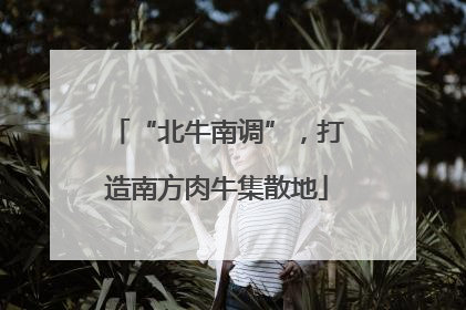 “北牛南调”，打造南方肉牛集散地