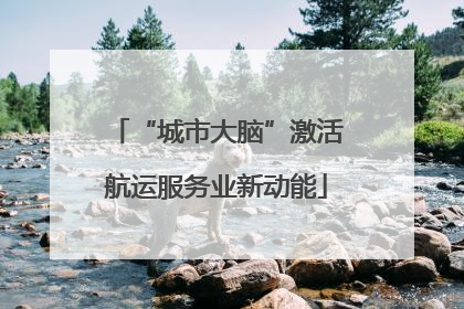 “城市大脑”激活航运服务业新动能