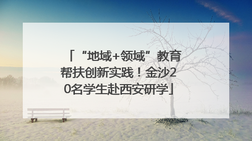 “地域+领域”教育帮扶创新实践！金沙20名学生赴西安研学