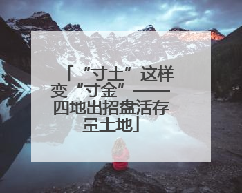 “寸土”这样变“寸金”——四地出招盘活存量土地