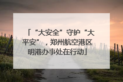 “大安全”守护“大平安”，郑州航空港区明港办事处在行动