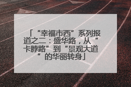 “幸福市西”系列报道之二：盛华路，从“卡脖路”到“景观大道”的华丽转身