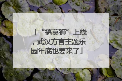 “搞莫狮”上线，武汉方言主题乐园年底也要来了