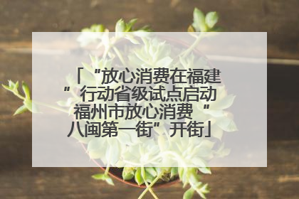 “放心消费在福建”行动省级试点启动 福州市放心消费“八闽第一街”开街