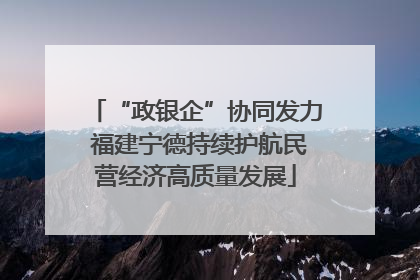 “政银企”协同发力 福建宁德持续护航民营经济高质量发展