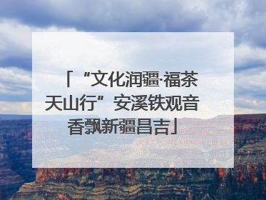 “文化润疆·福茶天山行”安溪铁观音香飘新疆昌吉