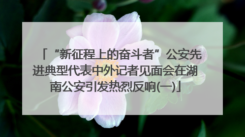 “新征程上的奋斗者”公安先进典型代表中外记者见面会在湖南公安引发热烈反响(一)