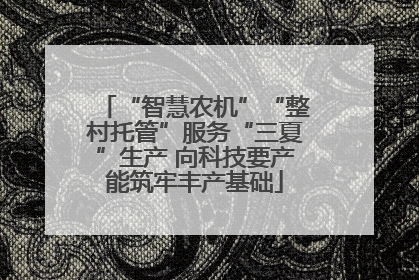 “智慧农机”“整村托管”服务“三夏”生产 向科技要产能筑牢丰产基础