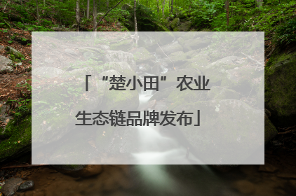 “楚小田”农业生态链品牌发布