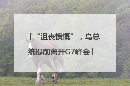 “沮丧愤慨”，乌总统提前离开G7峰会