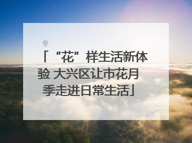 “花”样生活新体验 大兴区让市花月季走进日常生活