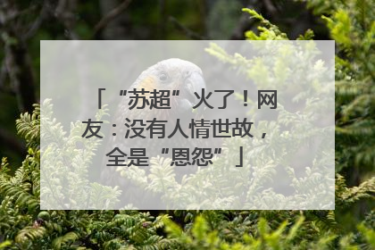 “苏超”火了！网友：没有人情世故，全是“恩怨”