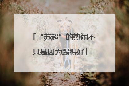“苏超”的热闹不只是因为踢得好