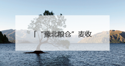 “豫北粮仓”麦收跑出“加速度”