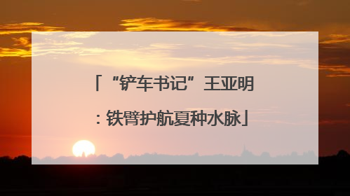 “铲车书记”王亚明：铁臂护航夏种水脉