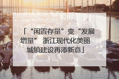 “闲置存量”变“发展增量” 浙江现代化美丽城镇建设再添新意