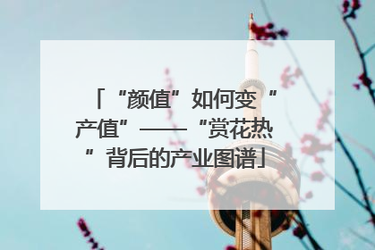 “颜值”如何变“产值”——“赏花热”背后的产业图谱