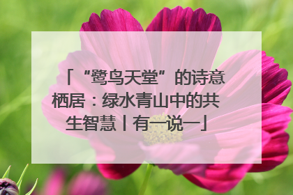 “鹭鸟天堂”的诗意栖居：绿水青山中的共生智慧丨有一说一