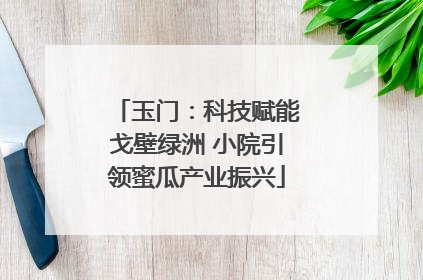 玉门：科技赋能戈壁绿洲 小院引领蜜瓜产业振兴