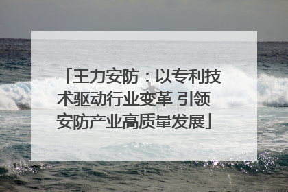 王力安防：以专利技术驱动行业变革 引领安防产业高质量发展