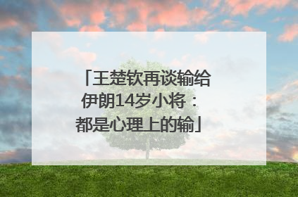 王楚钦再谈输给伊朗14岁小将：都是心理上的输