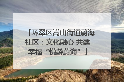 环翠区嵩山街道蔚海社区：文化融心 共建幸福“悦龄蔚海”