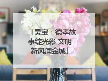 灵宝：德孝故事绽光彩 文明新风润金城