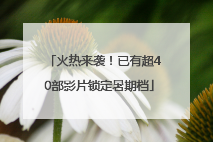火热来袭！已有超40部影片锁定暑期档